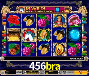 Descubra o Mundo do Cassino Online com 456bra